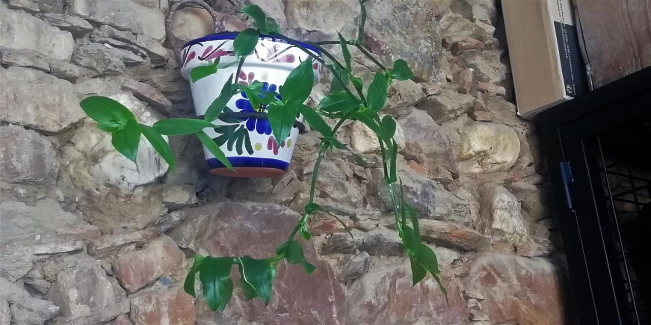 Casa Rural Abuela Maxi Ríolobos Εξωτερικό φωτογραφία