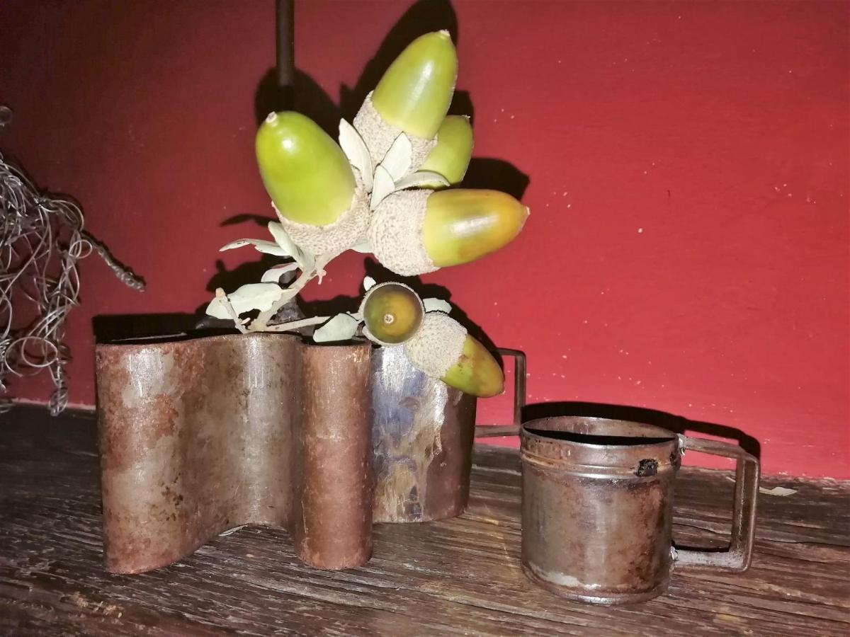 Casa Rural Abuela Maxi Ríolobos Εξωτερικό φωτογραφία